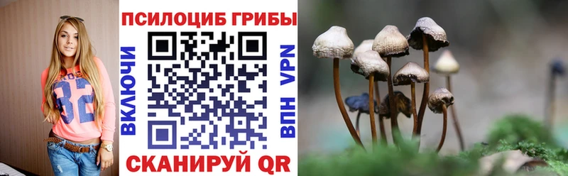 цены Гуково Псилоцибиновые грибы GOLDEN TEACHER